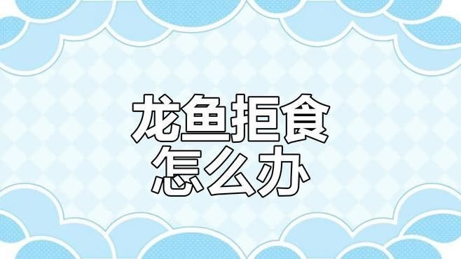 龍魚趴缸不吃食如何治療