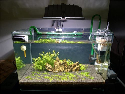 龍魚缸的濾材搭配方法：龍魚缸濾材搭配方法