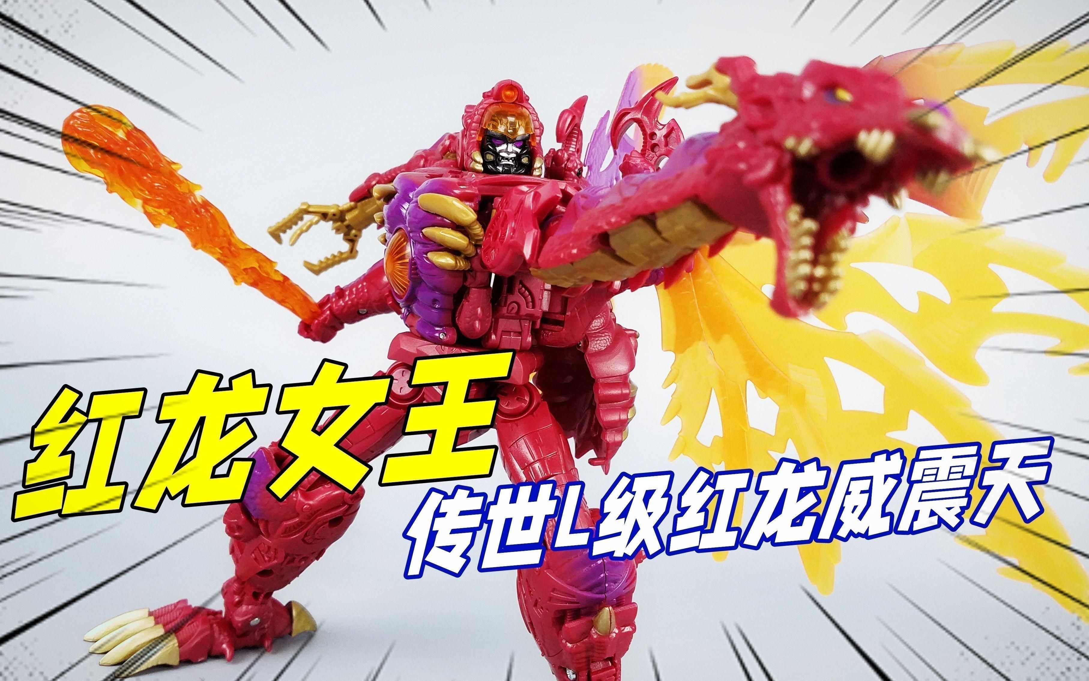 國際紅龍產品線介紹