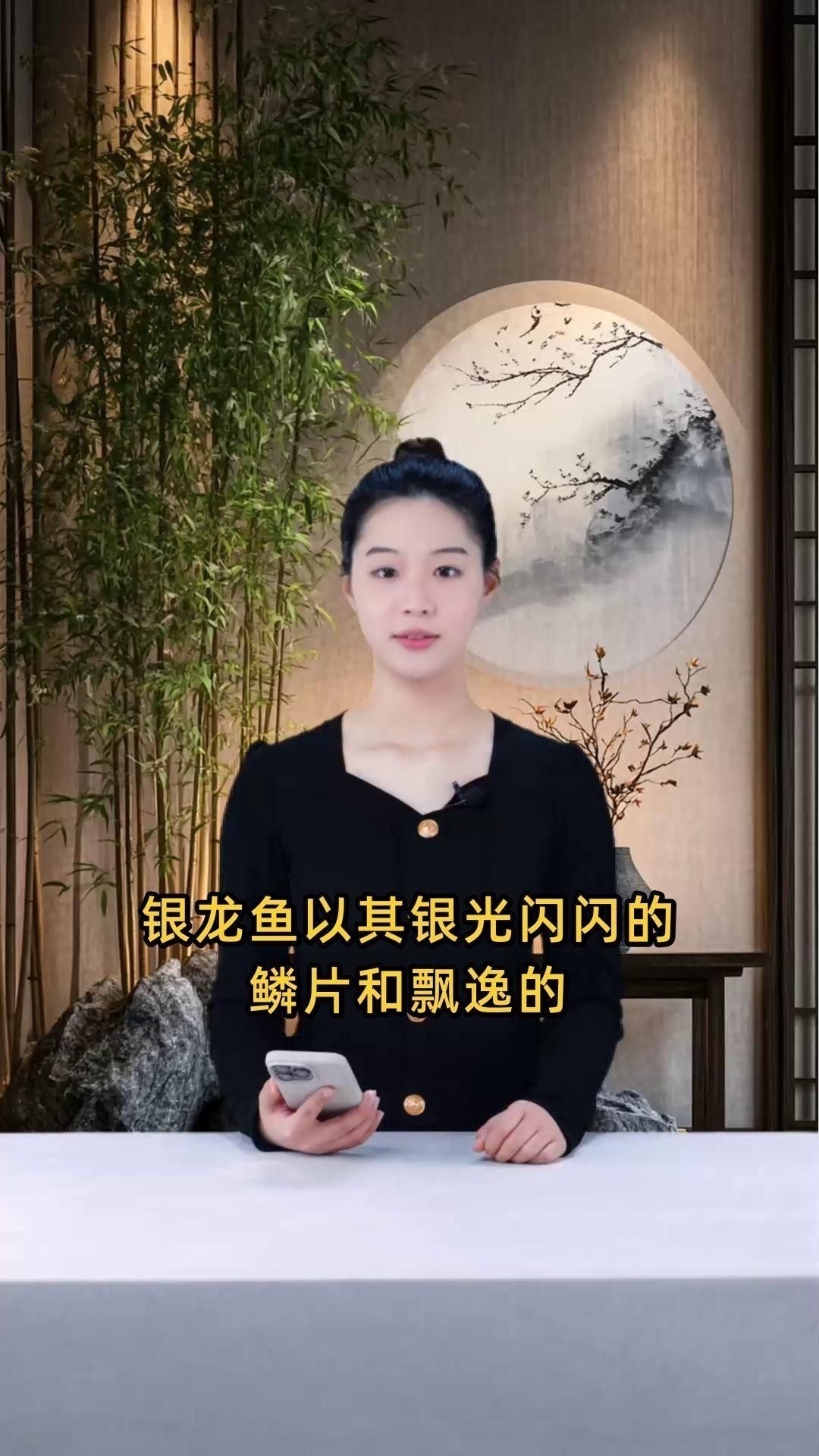 如何設置銀龍魚的魚缸環境？