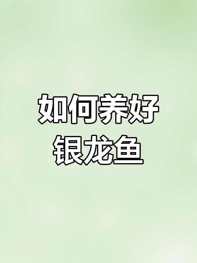 如何設置銀龍魚的魚缸環境？
