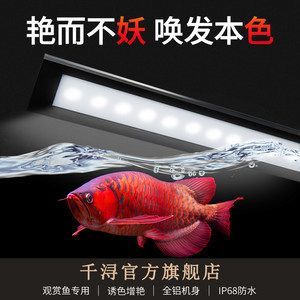 龍魚增艷燈和發色燈的區別圖片：龍魚增艷燈與發色燈在功能上的主要區別