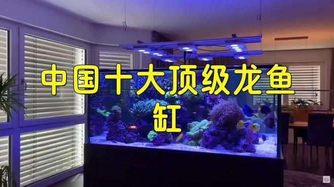 中國(guó)龍魚最厲害三個(gè)牌子