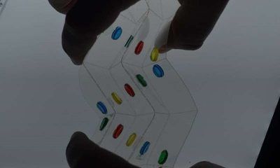 電鰻發電效率如何計算，