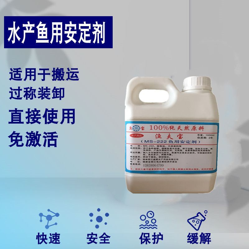 龍魚和鯉魚能混養嗎：龍魚和錦鯉在生態習性上有很大差異