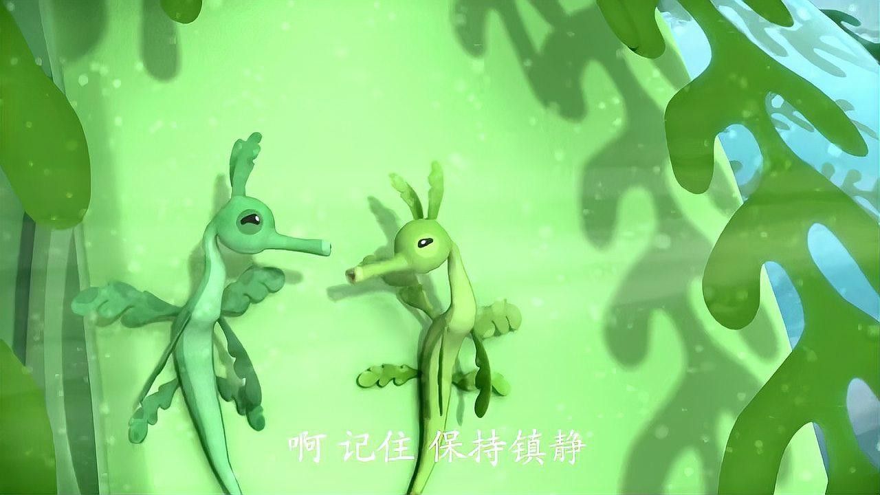 野生海龍魚的圖片欣賞