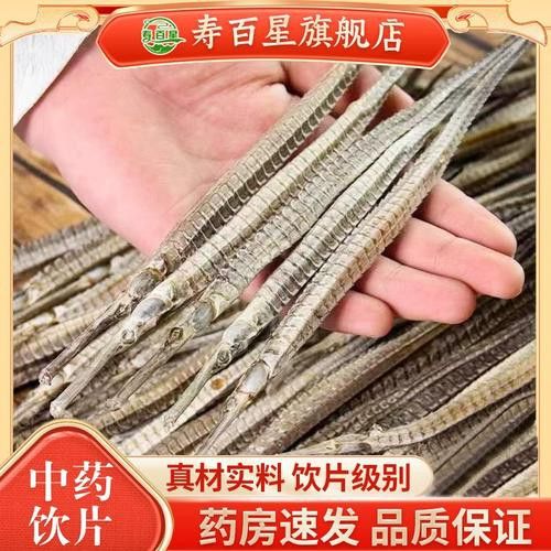 野生海龍魚的圖片欣賞