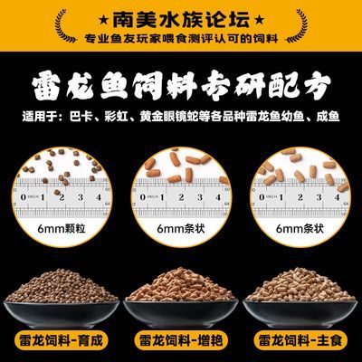 如何通過飲食改善雷龍魚體色：雷龍魚專用飼料品牌推薦，雷龍魚飲食控制技巧，雷龍魚食物安全性檢測方法
