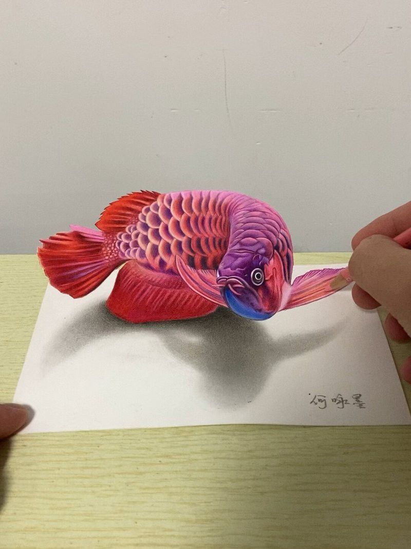 紅龍魚(yú)繪畫(huà)視頻