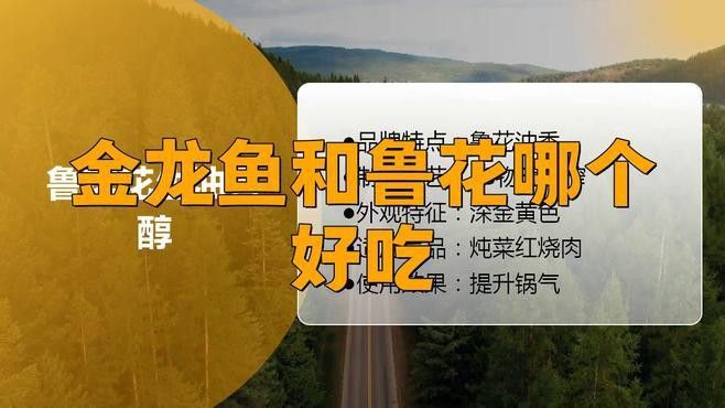金龍魚是中國的產品嗎