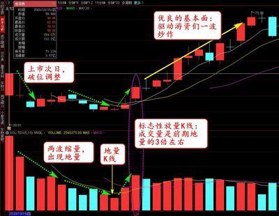金龍魚新股股吧（金龍魚市場競爭力分析）