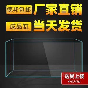 一條龍魚需要多大的缸：一條龍魚需要多大的缸尺寸推薦一條龍魚需要多大的缸