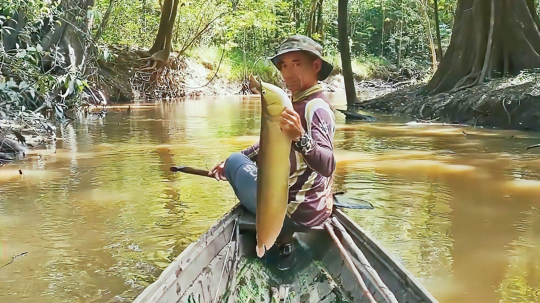 銀龍魚拉黃線屎怎么辦