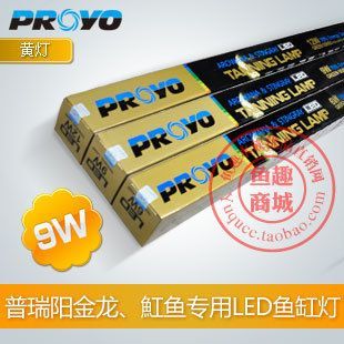金龍魚白燈和黃燈一起亮可以嗎（金龍魚使用白燈和黃燈一起亮是可行的）