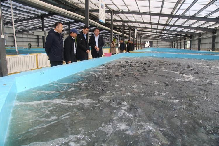 濟寧龍魚魚場