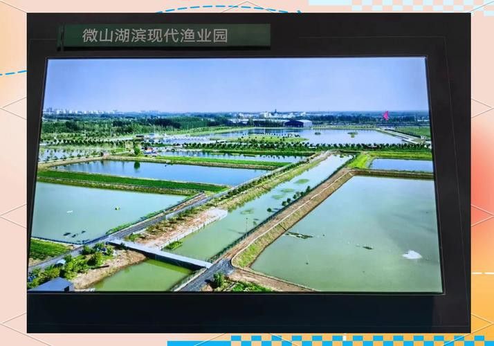 濟寧龍魚魚場