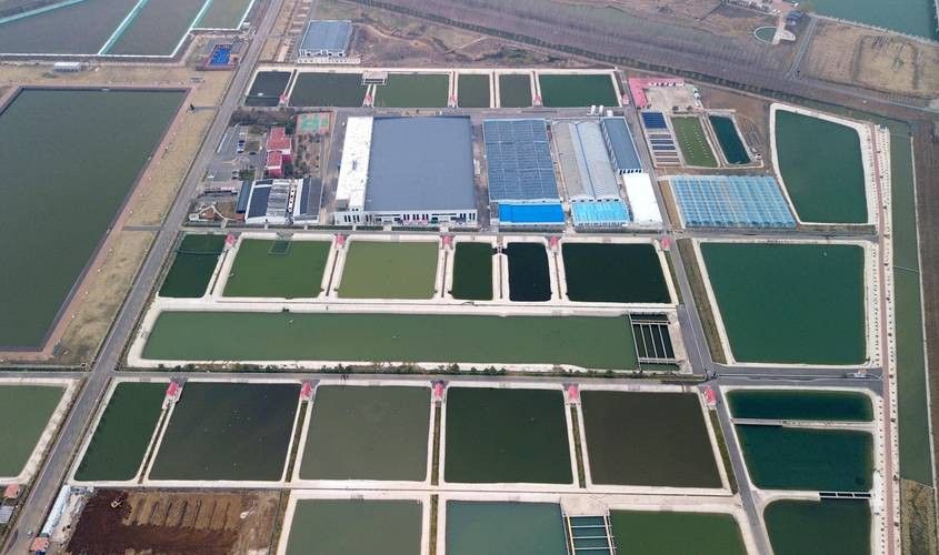 濟寧龍魚魚場