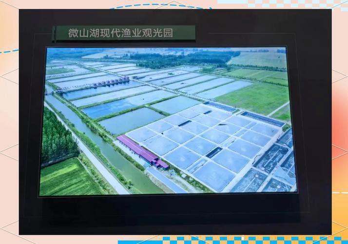 濟寧龍魚魚場