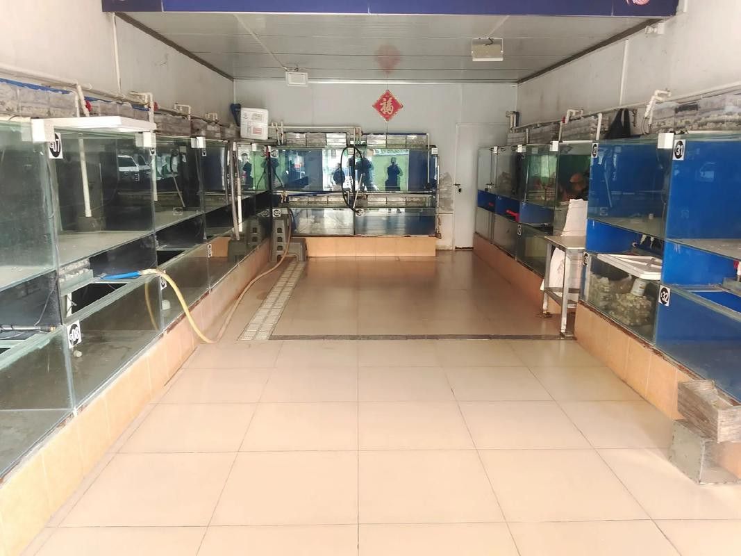 濟寧龍魚魚場