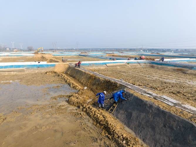 濟寧龍魚魚場