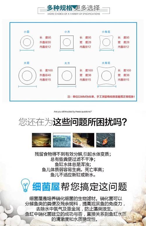 龍魚濾材擺放位置圖片