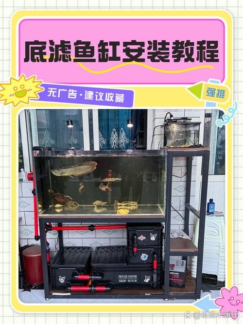 龍魚濾材擺放位置圖片