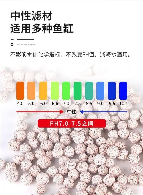 龍魚濾材擺放位置圖片