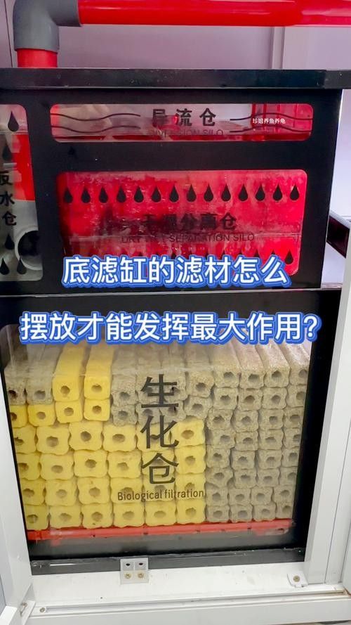 龍魚濾材擺放位置圖片