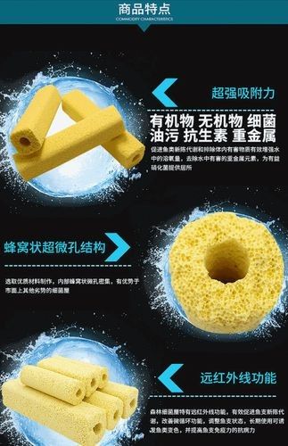 龍魚濾材擺放位置圖片