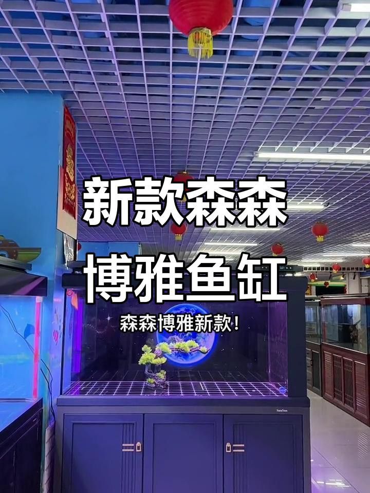 森森龍魚燈的價格范圍是多少？