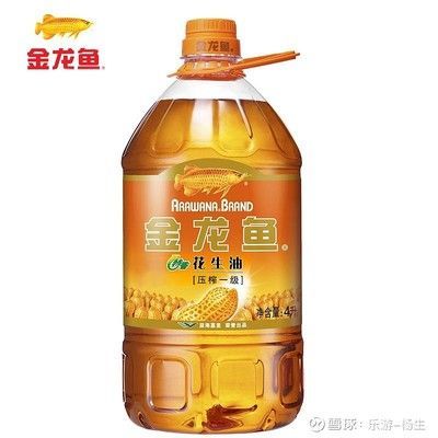 金龍魚廣告之萬家燈火篇歌曲：金龍魚廣告之萬家燈火篇歌曲《萬家燈火-回家篇》