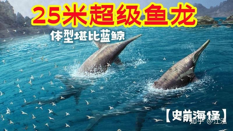 還有哪些雷龍魚品種價格較低的：探索雷龍魚品種，哪些種類價格更為親民？