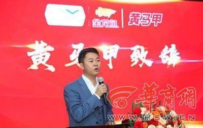 金龍魚董事（金龍魚董事會成員個人背景）