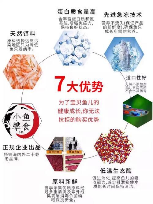 六角恐龍魚吃多大的魚飼料