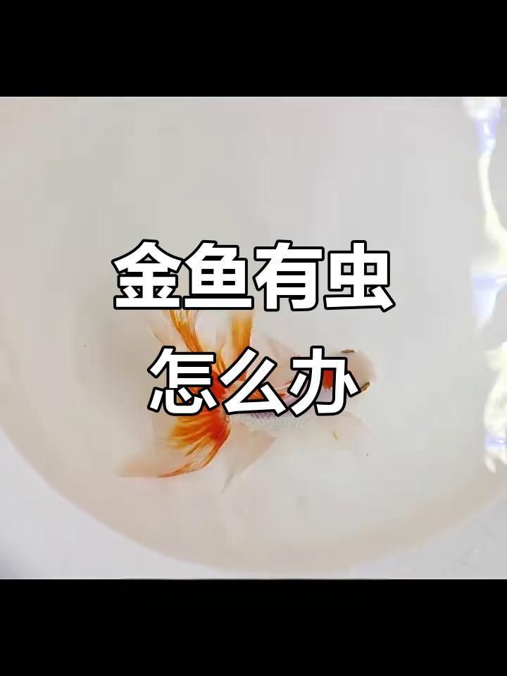 魚有寄生蟲怎么辦用什么藥