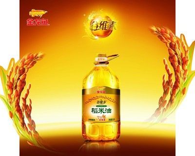 金龍魚央視廣告視頻家：金龍魚央視廣告視廣告創意央視廣告創意策略