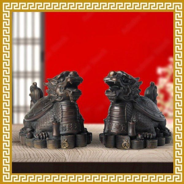 如何購買真正的龍龜圖片？