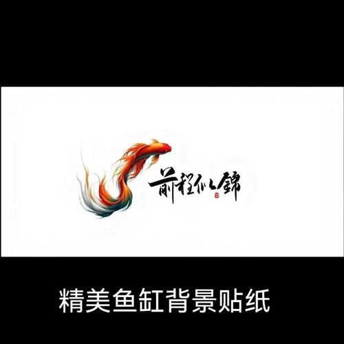 給我推薦一些高質(zhì)量的紅龍魚壁紙