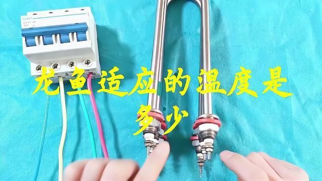 再詳細說說龍魚對水溫的要求