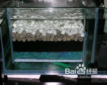 彩蝶龍魚缸怎么樣有幾種：彩蝶龍魚缸有便宜點的嗎？多少錢？