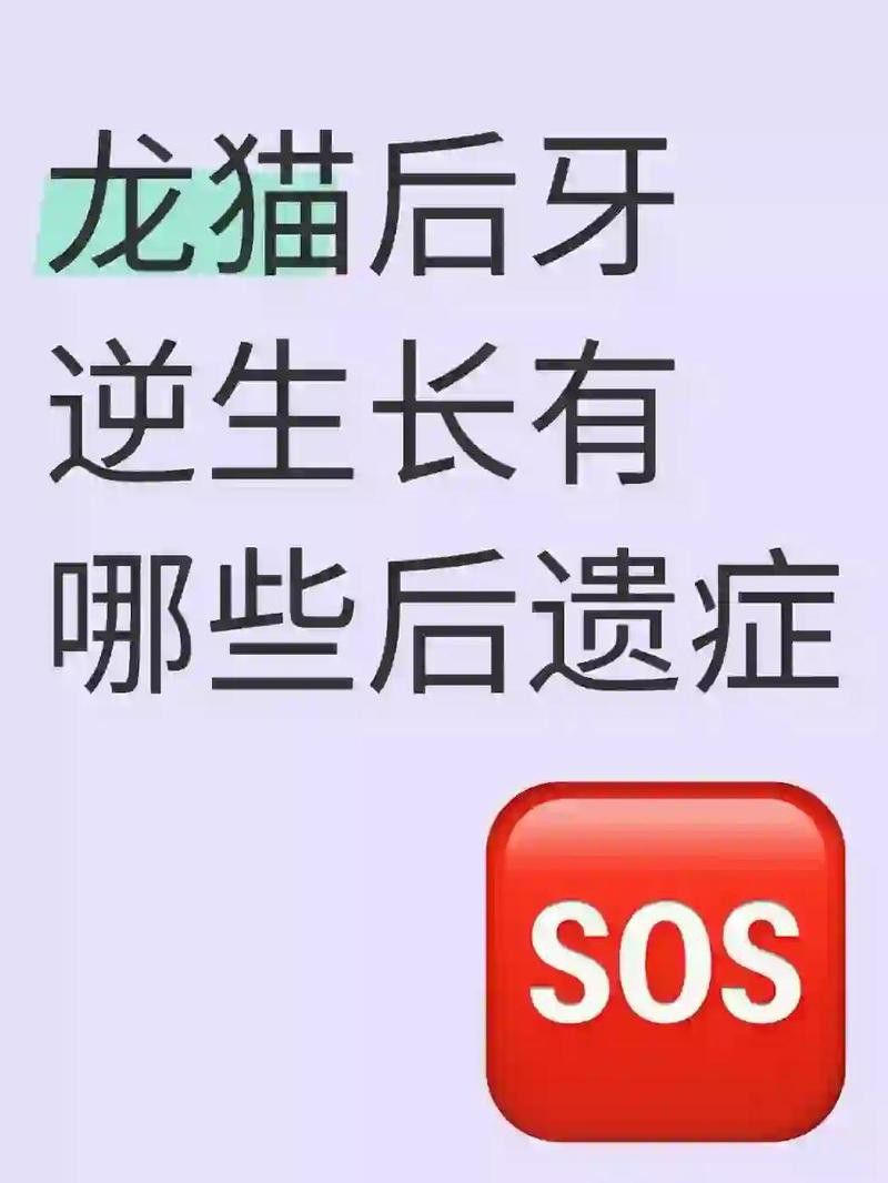 如何判斷龍貓牙齒是否感染？ 如何判斷龍貓牙齒是否感染？ 龍魚百科 第5張