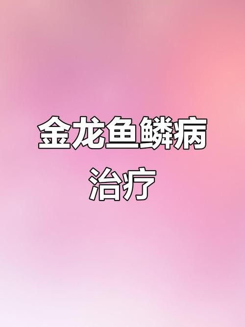 金龍魚鱗變白怎么回事