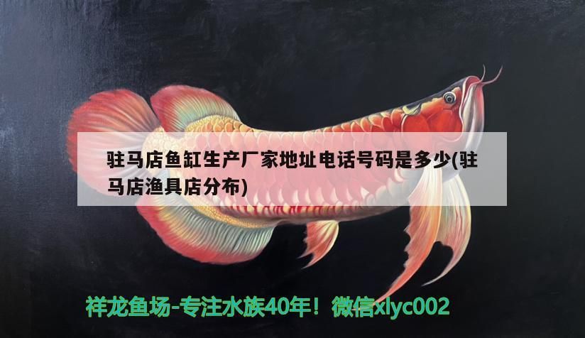 駐馬店魚缸生產廠家地址電話號碼是多少(駐馬店漁具店分布)