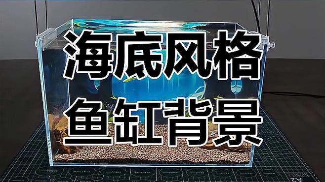 紅龍魚魚缸背景紙圖片高清
