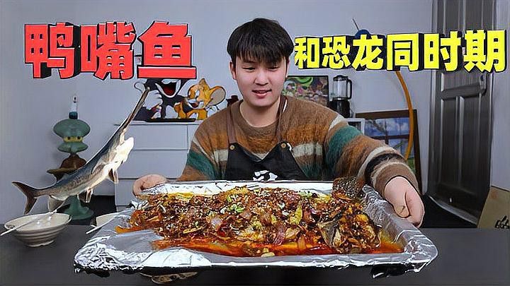 海水觀賞魚鴨嘴龍魚怎么養
