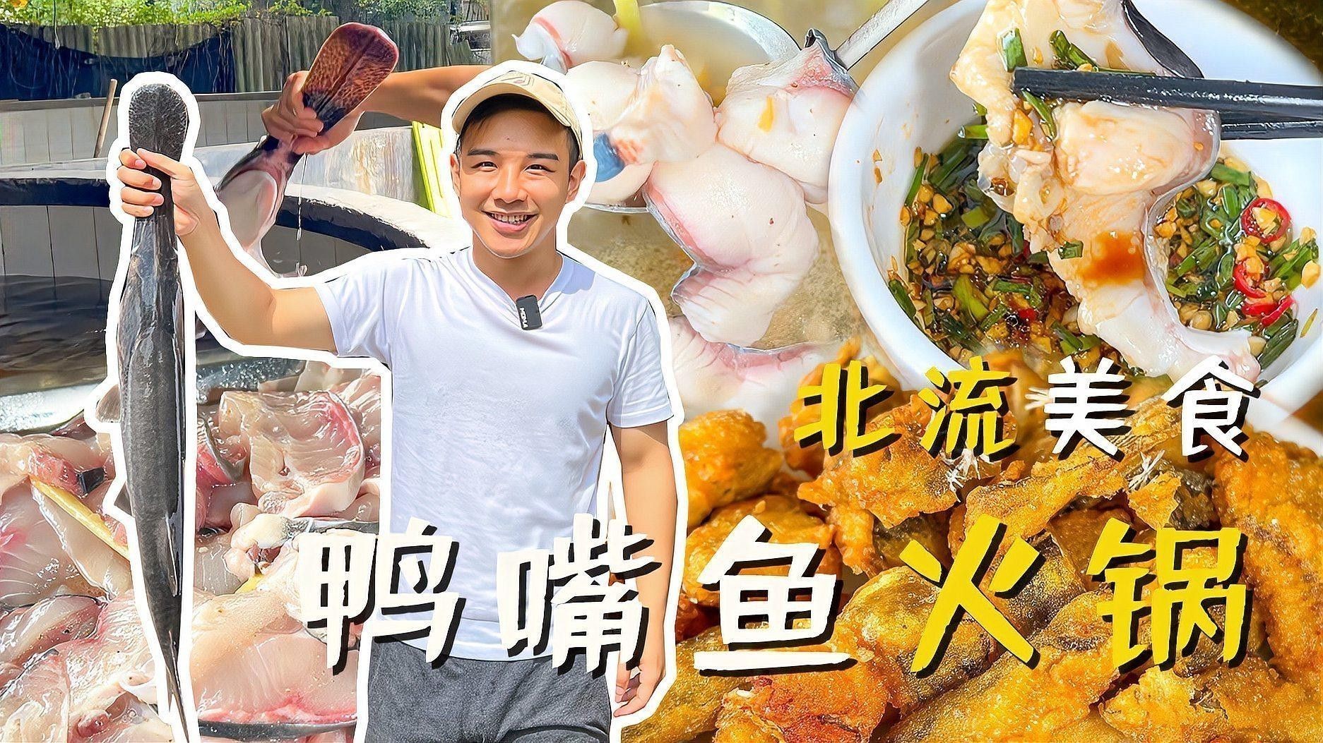 海水觀賞魚鴨嘴龍魚怎么養
