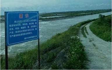 黃鰭鯧魚混養食物選擇策略：如何避免黃鰭鯧魚混養中的食物競爭，黃鰭鯧魚飼料管理的注意事項