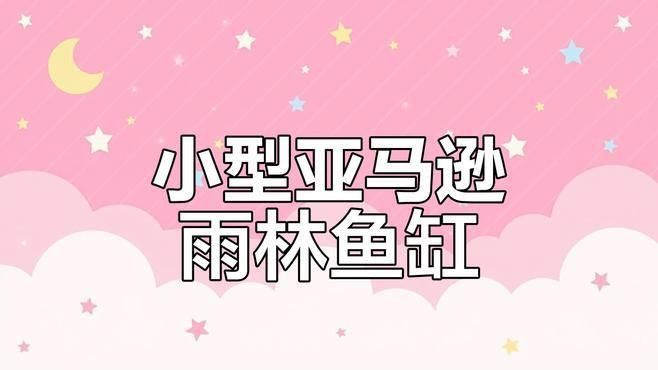 免底砂泥亞馬遜魚缸