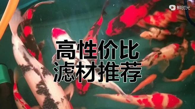 龍魚濾材哪個牌子好用又便宜耐用
