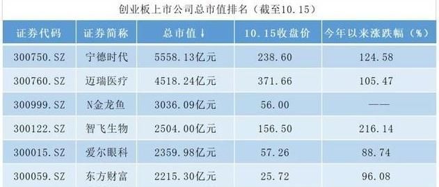 金龍魚現在市值多少：金龍魚市值約為500億人民幣未找到金龍魚當前市值 金龍魚現在市值多少：金龍魚市值約為500億人民幣未找到金龍魚當前市值 龍魚百科 第3張